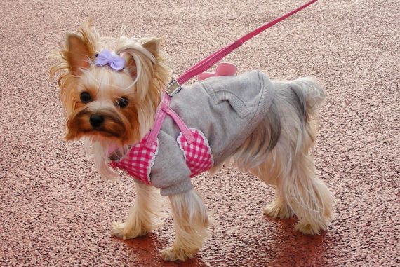 Kawaii Online Fashion Games For Girls Tokyo Fashion Guide